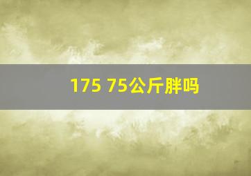 175 75公斤胖吗